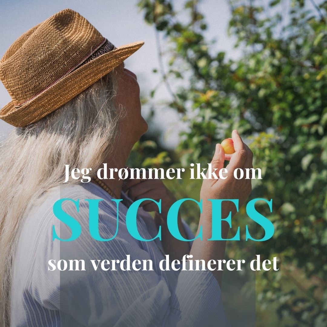 Jeg ønsker ikke succes - Instagram post Succes - men ikke som verden definerer den